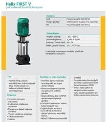 Wilo Helix Fırst V 1010-5/16/E/S Dikey Çok Kademeli Paslanmaz Çelik Fanlı Pompa