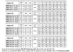 Winpo WNP CVL 20-14 Full Paslanmaz Dikey Kademeli Pompa 20 HP Trifaze