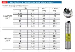 İmpo 4'' ST Dalgıç Pompa Motoru 0.75 HP 220V (Döküm Başlıklı)