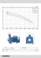 Pedrollo NGAm 1A Santrifüj Pompa 1 HP 220 V