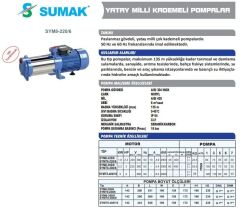 Sumak SYMT8 400/10 Yatay Kademeli Sessiz Pompa 4 HP