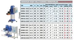 Sumak SHM8B 220/6 İki Pom. Hidrofor 2x 2.2 HP 14 Kat 30 Daire - 220V