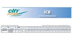 City İtalyan ICB 550/32 T Çift Kademeli Pompa 5.5 HP 380 V