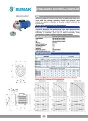 Sumak SMINOX/K-220T/2 304 Paslanmaz Santrifüj Pompa 2.2 HP 380V