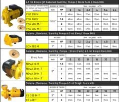 Vortex CS 400 T Santrifüj Pompa Yüksek Debili 4 HP 380 V