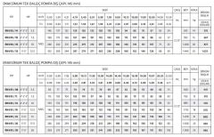 İmpo RN 615/08 - 6'' Noril Fanlı Tek Dalgıç Pompa 83 Mss - 5.5 HP