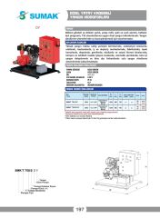 Sumak SMKT 750/2 DY Tek Pompalı Dizel Yangın Hidroforu 7.5 HP
