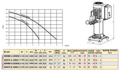 Troy Pompa HDHM6 B 2000/8 İki Pom. Hidrofor 2x1.5 HP 9 Kat 24 Daire - 220V