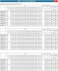 İmpo SK 408/04 - 4'' Tek Dalgıç Pompa 25 Mss - 1 HP (Krom Başlıklı)