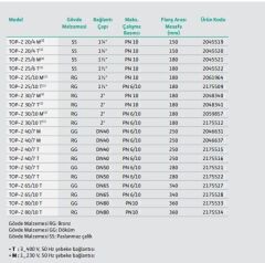 Wilo Top Z 80/10-T GG-PN 10 Re Sirkülasyon Pompası