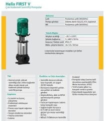 Wilo Helix Fırst V 410-5/16/E/S Dikey Çok Kademeli Paslanmaz Çelik Fanlı Pompa